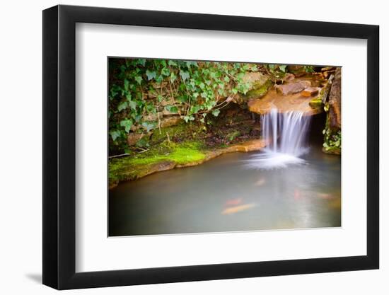 Waterfall Spilling into Coy Fish or Goldfish Pond-Rob Hainer-Framed Photographic Print