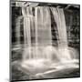 Waterfall, Study no. 2-Andrew Ren-Mounted Giclee Print