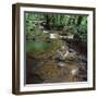 Waterfall Thailand-null-Framed Photographic Print