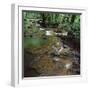 Waterfall Thailand-null-Framed Photographic Print