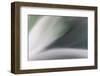 Waterfall. Torres Del Paine NP. Chile. UNESCO Biosphere-Tom Norring-Framed Photographic Print