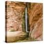 Waterfall. Tributary to Colorado River. Grand Canyon. Arizona. USA-Tom Norring-Stretched Canvas