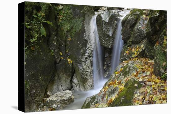 Waterfall, Valea Prapastiilor, Piatra Craiului Np, Transylvania, Carpathian Mountains, Romania-Dörr-Stretched Canvas