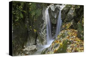 Waterfall, Valea Prapastiilor, Piatra Craiului Np, Transylvania, Carpathian Mountains, Romania-Dörr-Stretched Canvas
