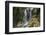 Waterfall, Valea Prapastiilor, Piatra Craiului Np, Transylvania, Carpathian Mountains, Romania-Dörr-Framed Photographic Print