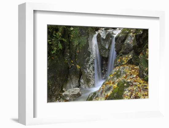 Waterfall, Valea Prapastiilor, Piatra Craiului Np, Transylvania, Carpathian Mountains, Romania-Dörr-Framed Photographic Print