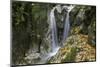 Waterfall, Valea Prapastiilor, Piatra Craiului Np, Transylvania, Carpathian Mountains, Romania-Dörr-Mounted Photographic Print
