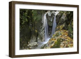 Waterfall, Valea Prapastiilor, Piatra Craiului Np, Transylvania, Carpathian Mountains, Romania-Dörr-Framed Photographic Print