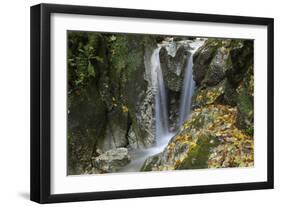 Waterfall, Valea Prapastiilor, Piatra Craiului Np, Transylvania, Carpathian Mountains, Romania-Dörr-Framed Photographic Print
