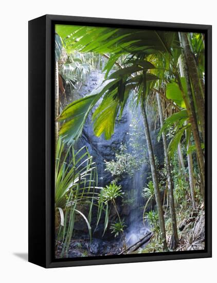 Waterfall, Vallee De Mai National Park, Praslin, Seychelles, Indian Ocean-J P De Manne-Framed Stretched Canvas