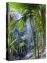 Waterfall, Vallee De Mai National Park, Praslin, Seychelles, Indian Ocean-J P De Manne-Stretched Canvas