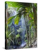 Waterfall, Vallee De Mai National Park, Praslin, Seychelles, Indian Ocean-J P De Manne-Stretched Canvas