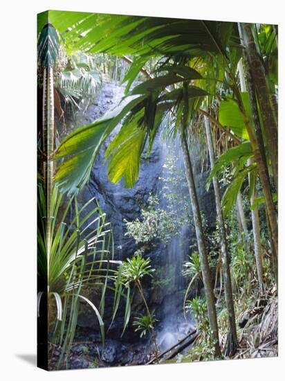 Waterfall, Vallee De Mai National Park, Praslin, Seychelles, Indian Ocean-J P De Manne-Stretched Canvas