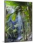 Waterfall, Vallee De Mai National Park, Praslin, Seychelles, Indian Ocean-J P De Manne-Mounted Photographic Print