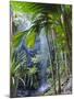 Waterfall, Vallee De Mai National Park, Praslin, Seychelles, Indian Ocean-J P De Manne-Mounted Photographic Print