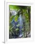 Waterfall, Vallee De Mai National Park, Praslin, Seychelles, Indian Ocean-J P De Manne-Framed Photographic Print