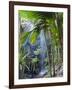 Waterfall, Vallee De Mai National Park, Praslin, Seychelles, Indian Ocean-J P De Manne-Framed Photographic Print