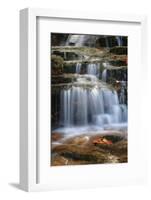 Waterfall Whitecap Stream-Michael Hudson-Framed Art Print