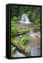 Waterfall with a Fallen Tree, Fairy Glen Rspb Reserve, Inverness-Shire, Scotland, UK, July-Peter Cairns-Framed Stretched Canvas