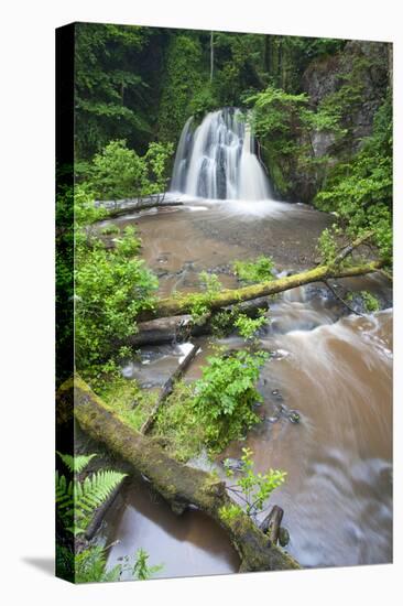 Waterfall with a Fallen Tree, Fairy Glen Rspb Reserve, Inverness-Shire, Scotland, UK, July-Peter Cairns-Stretched Canvas