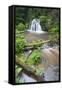 Waterfall with a Fallen Tree, Fairy Glen Rspb Reserve, Inverness-Shire, Scotland, UK, July-Peter Cairns-Framed Stretched Canvas