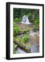 Waterfall with a Fallen Tree, Fairy Glen Rspb Reserve, Inverness-Shire, Scotland, UK, July-Peter Cairns-Framed Photographic Print