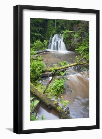 Waterfall with a Fallen Tree, Fairy Glen Rspb Reserve, Inverness-Shire, Scotland, UK, July-Peter Cairns-Framed Photographic Print