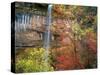 Waterfall with Fall Foliage, Emerald Pools, Zion Canyon, Zion National Park, Utah, Usa-Scott T. Smith-Stretched Canvas