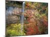 Waterfall with Fall Foliage, Emerald Pools, Zion Canyon, Zion National Park, Utah, Usa-Scott T. Smith-Mounted Photographic Print