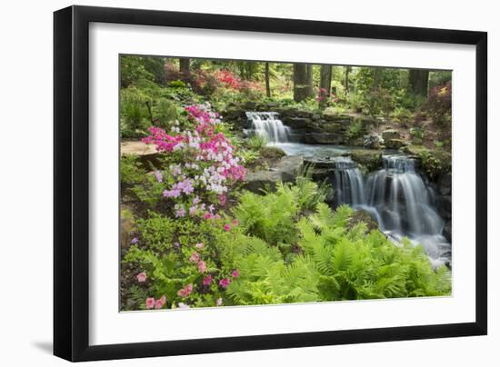 Waterfall with Ferns and Azaleas at Azalea Path Arboretum and Botanical Gardens, Hazleton, Indiana-Richard and Susan Day-Framed Photographic Print