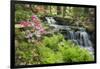 Waterfall with Ferns and Azaleas at Azalea Path Arboretum and Botanical Gardens, Hazleton, Indiana-Richard and Susan Day-Framed Photographic Print