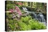 Waterfall with Ferns and Azaleas at Azalea Path Arboretum and Botanical Gardens, Hazleton, Indiana-Richard and Susan Day-Stretched Canvas