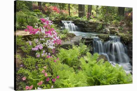 Waterfall with Ferns and Azaleas at Azalea Path Arboretum and Botanical Gardens, Hazleton, Indiana-Richard and Susan Day-Stretched Canvas