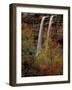 Waterfall, Zion National Park, Utah, USA-Scott T. Smith-Framed Photographic Print