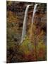 Waterfall, Zion National Park, Utah, USA-Scott T. Smith-Mounted Photographic Print