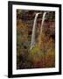 Waterfall, Zion National Park, Utah, USA-Scott T. Smith-Framed Photographic Print