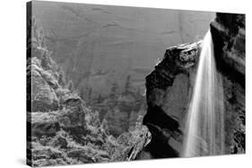 Waterfall, Zion National Park, Utah-null-Stretched Canvas