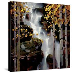 Waterfall-Michael O'Toole-Stretched Canvas