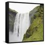 Waterfall-Neil C. Robinson-Framed Stretched Canvas
