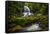 Waterfall-Dennis Goodman-Framed Stretched Canvas