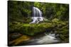 Waterfall-Dennis Goodman-Stretched Canvas