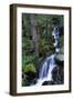 Waterfall-null-Framed Photographic Print