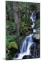 Waterfall-null-Mounted Photographic Print