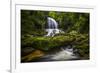 Waterfall-Dennis Goodman-Framed Photographic Print