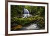 Waterfall-Dennis Goodman-Framed Photographic Print