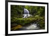 Waterfall-Dennis Goodman-Framed Photographic Print