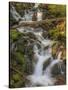 Waterfall-Dan Sproul-Stretched Canvas