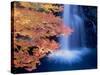 Waterfalls and Autumn Leaves-null-Stretched Canvas