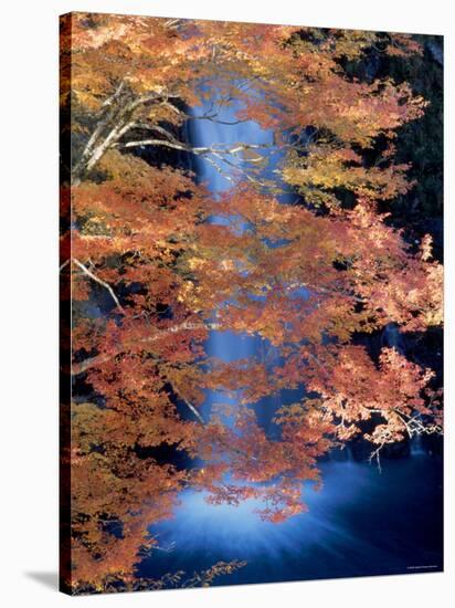 Waterfalls and Autumn Leaves-null-Stretched Canvas