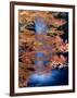 Waterfalls and Autumn Leaves-null-Framed Photographic Print